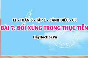 Đối xứng trong thực tiễn: Đối xứng trong thế giới tự nhiên, nghệ thuật kiến trúc và công nghệ? Toán 6 bài 7 cd1c3